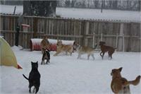 daycare pic 126 - winter fun